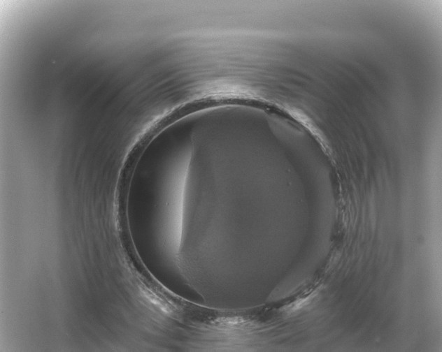 X0000066010391200603101602