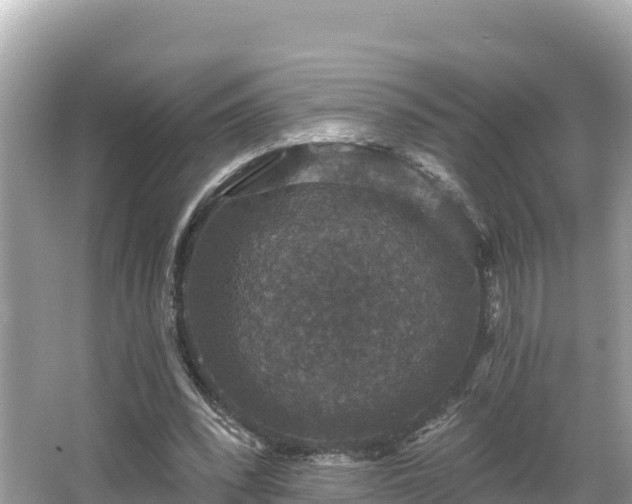 X0000066010392200603101602