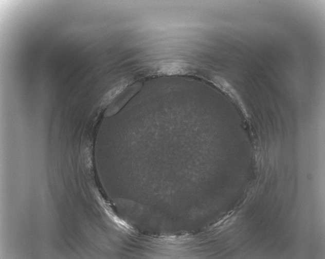 X0000066010393200603101602