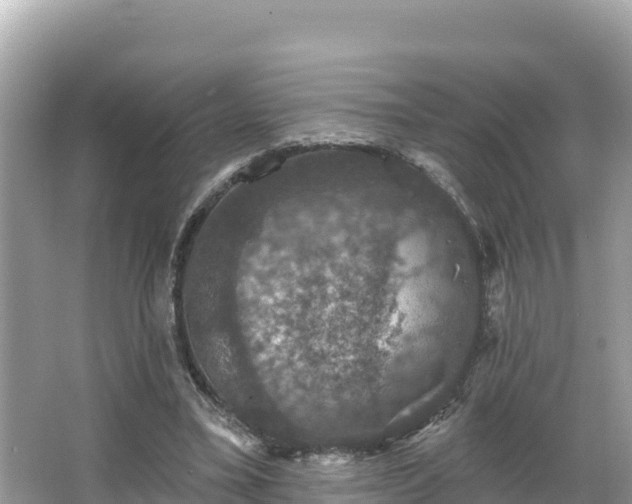 X0000066010395200603101602