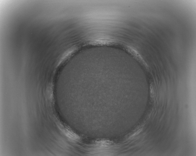 X0000066010396200603101602