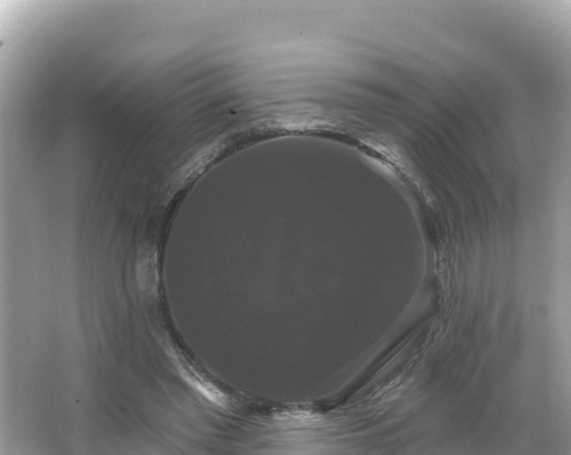 X0000066010397200603101602