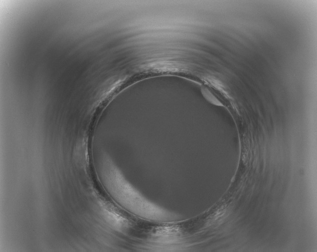 X0000066010398200603101602