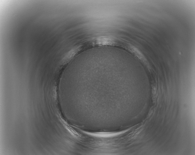 X0000066010401200603101602