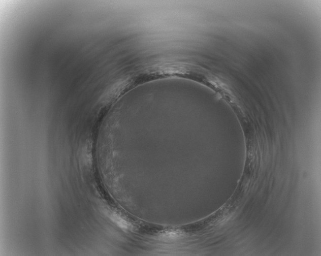 X0000066010402200603101602