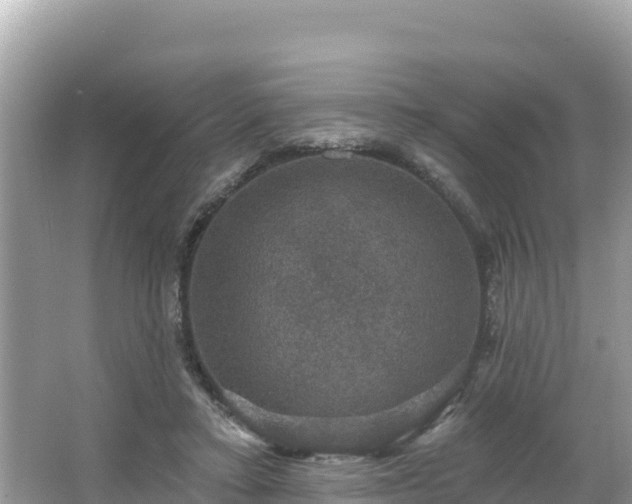 X0000066010403200603101602