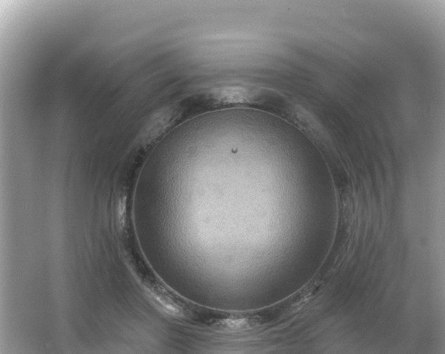 X0000066010406200603101602