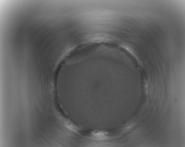 X0000066010407200603101602