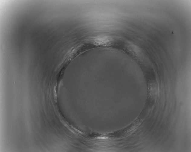 X0000066010408200603101602