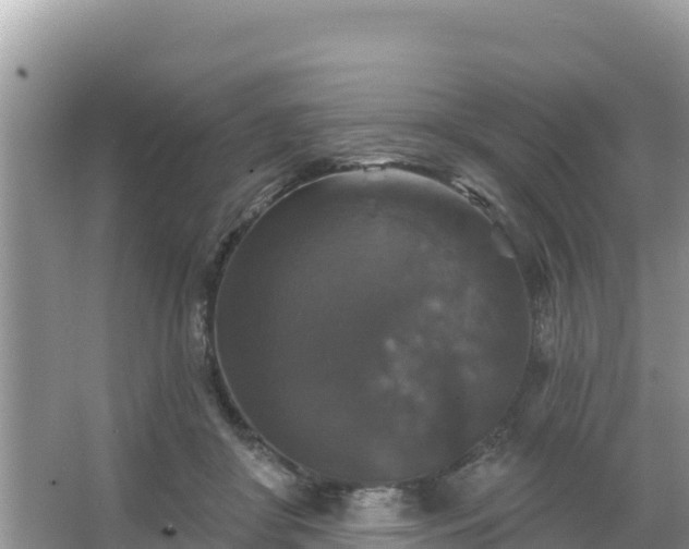 X0000066010410200603101602