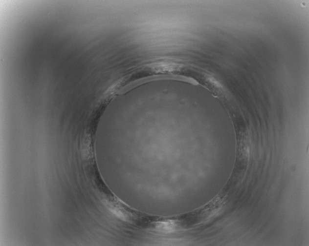 X0000066010411200603101602