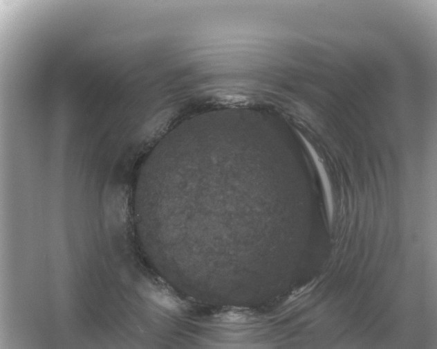 X0000066010412200603101602