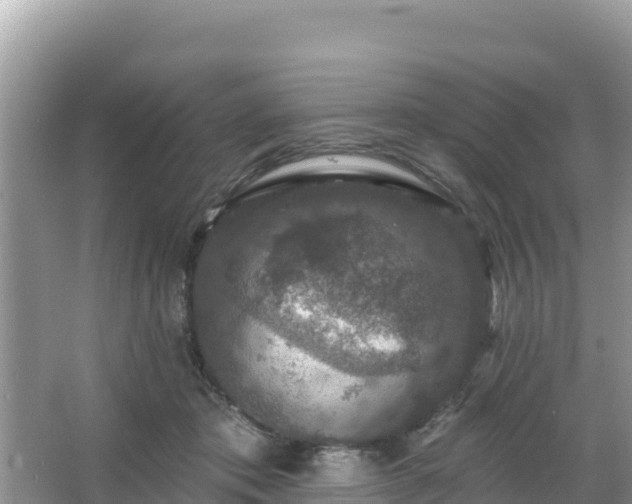 X0000066010413200603101602