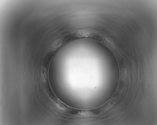 X0000066010414200603101602