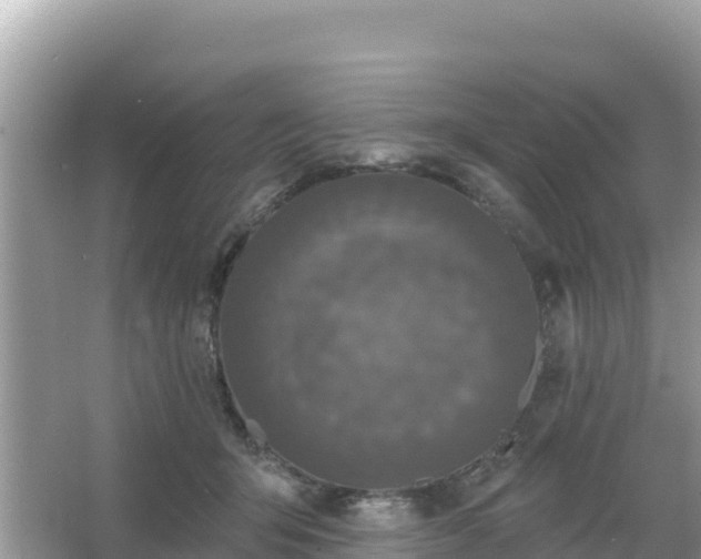 X0000066010415200603101602