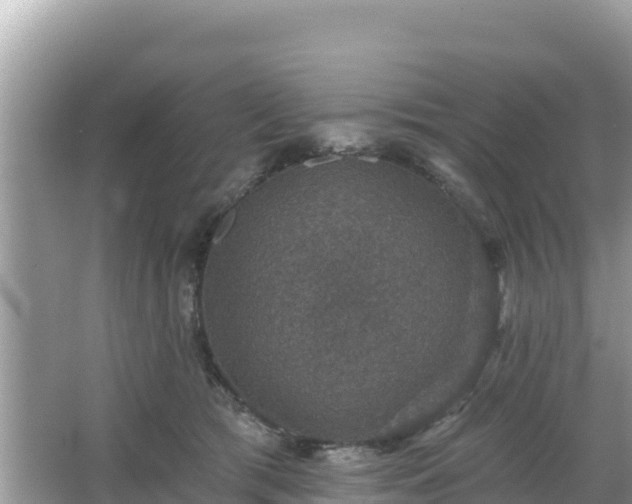 X0000066010417200603101602