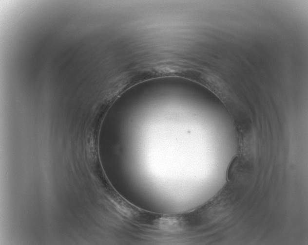 X0000066010418200603101602