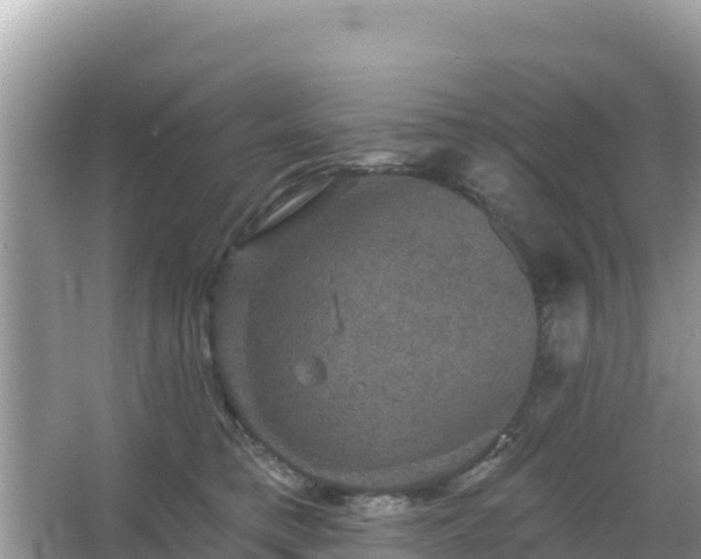 X0000066010421200603101601