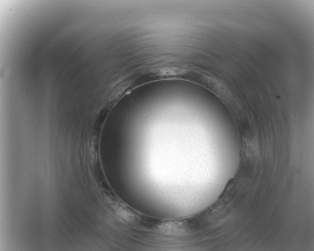 X0000066010422200603101601