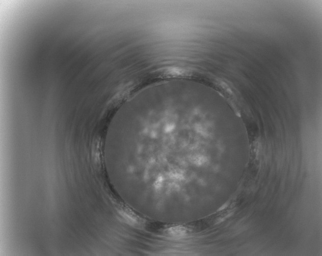 X0000066010423200603101601