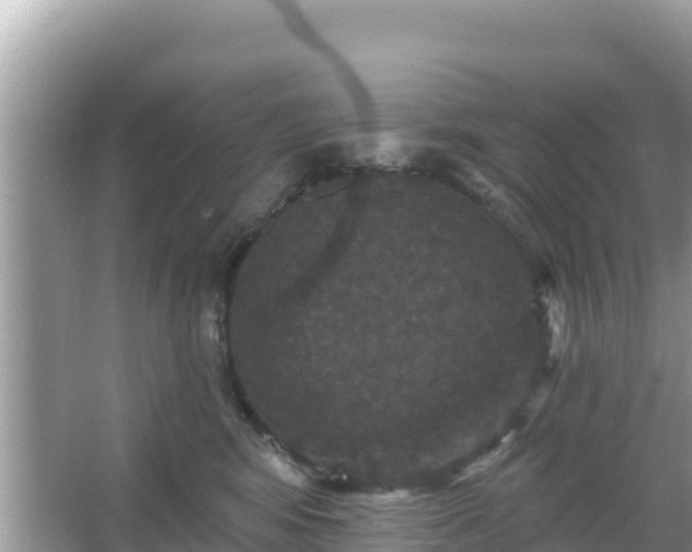 X0000066010424200603101601