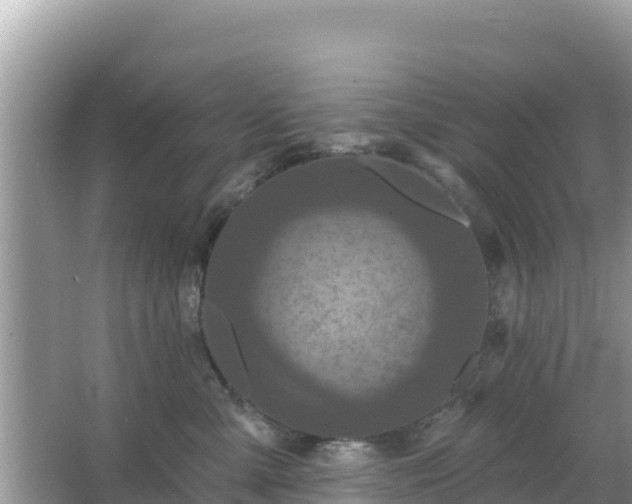 X0000066010427200603101601