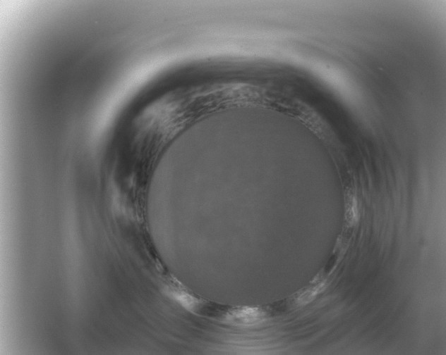 X0000066010431200603101601