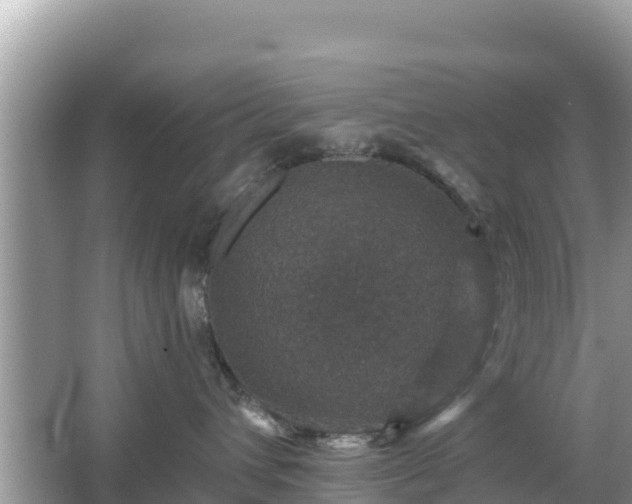 X0000066010432200603101601