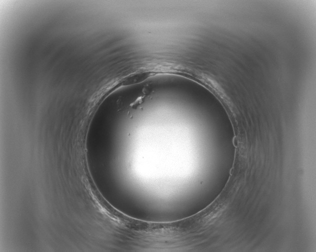 X0000066010433200603101600