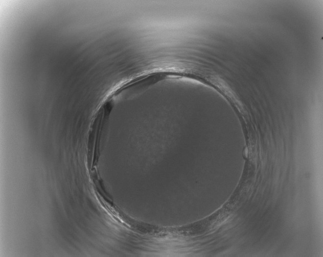 X0000066010434200603101600