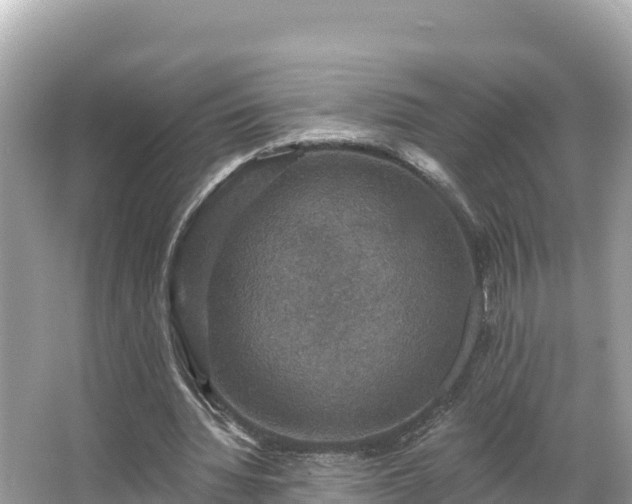 X0000066010436200603101601