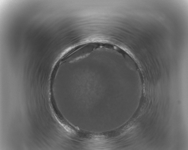 X0000066010438200603101601