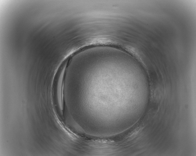 X0000066010439200603101601