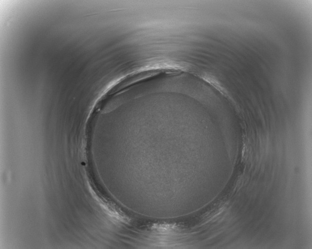 X0000066010440200603101601