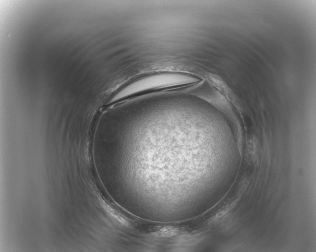 X0000066010441200603101601