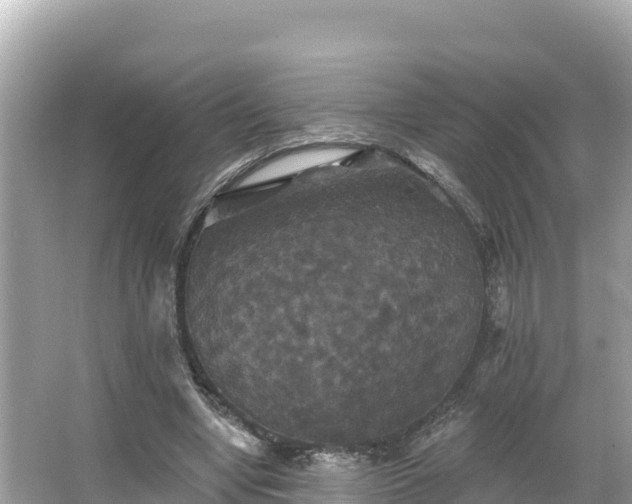 X0000066010442200603101601