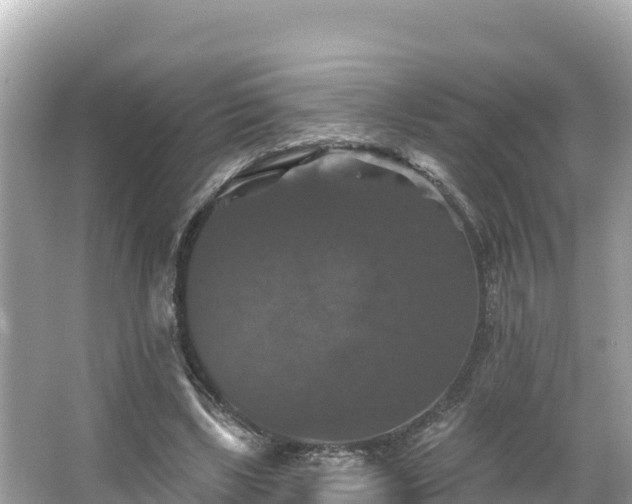 X0000066010443200603101601