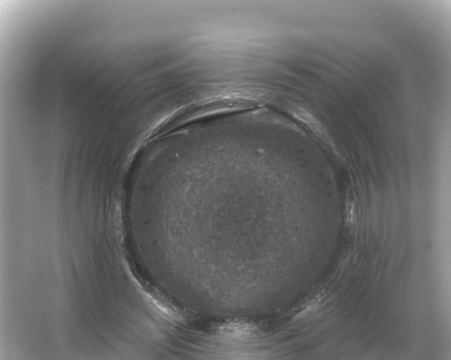 X0000066010444200603101601