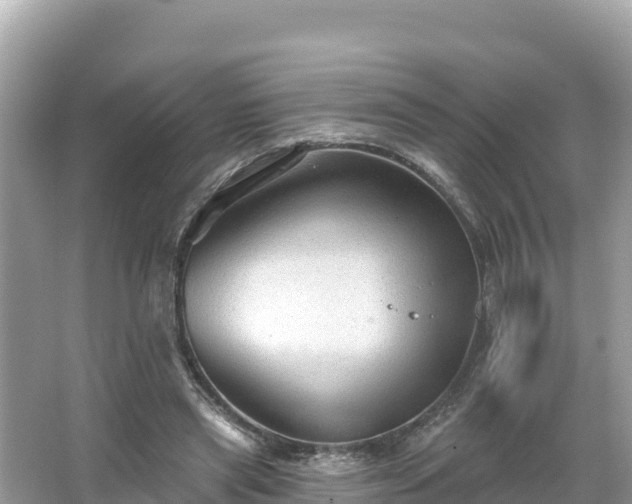 X0000066010445200603101601