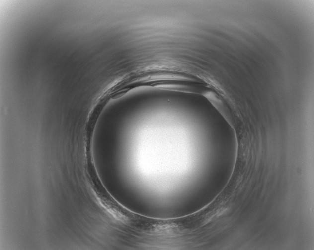 X0000066010446200603101601