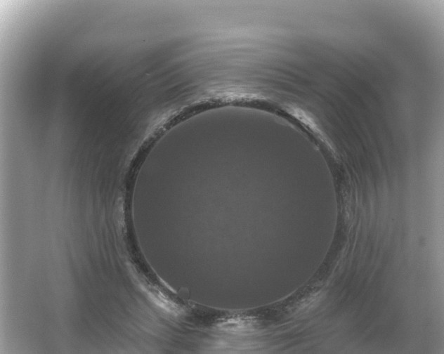 X0000066010447200603101601