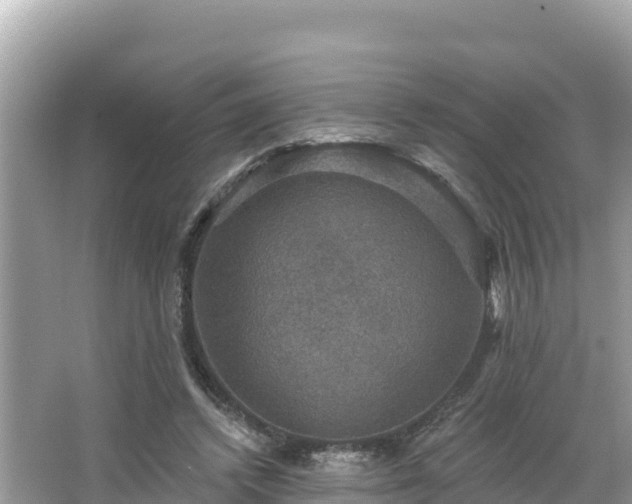 X0000066010448200603101601