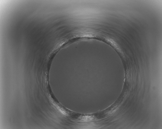 X0000066010449200603101601