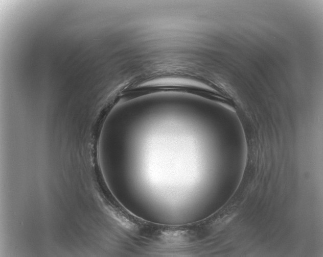 X0000066010450200603101601