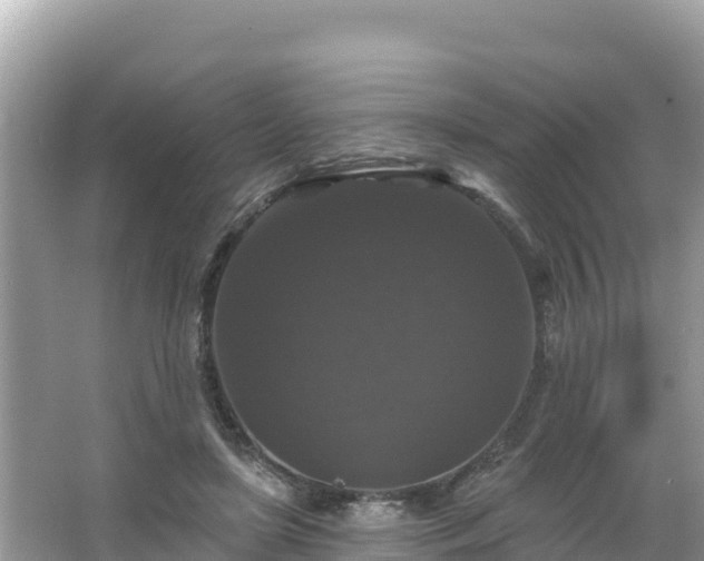 X0000066010451200603101601