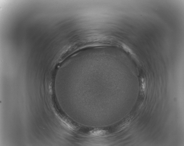 X0000066010452200603101601