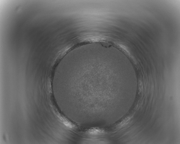 X0000066010453200603101601