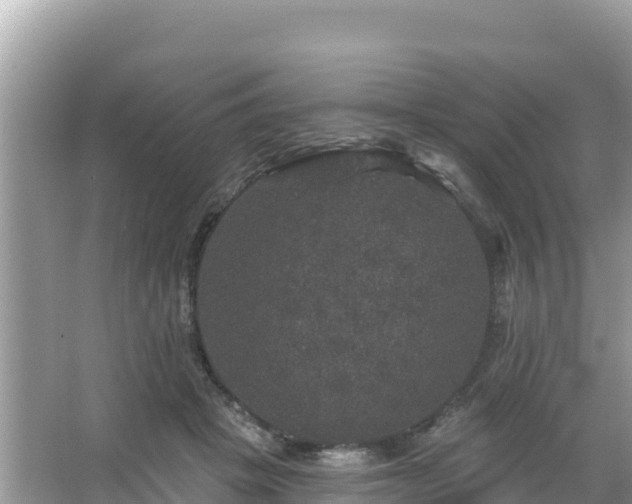 X0000066010457200603101601