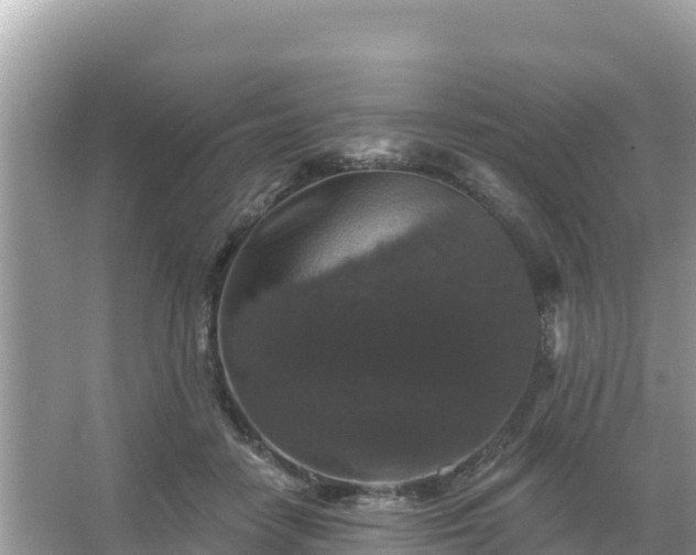 X0000066010458200603101601