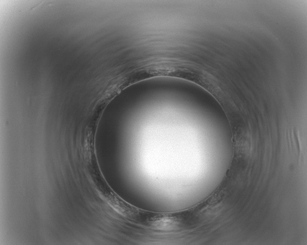 X0000066010460200603101601